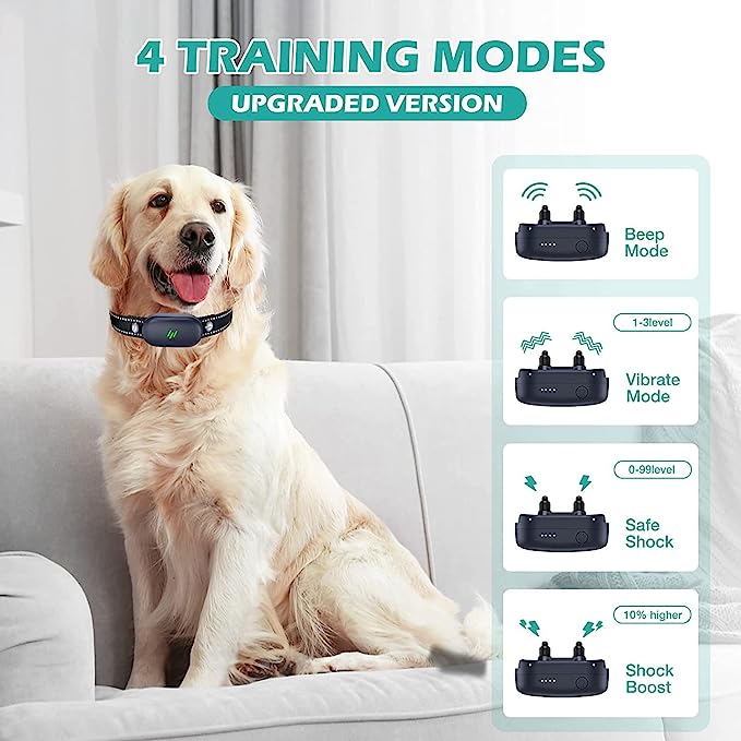 How To Use A Dog Shock Collar For Training